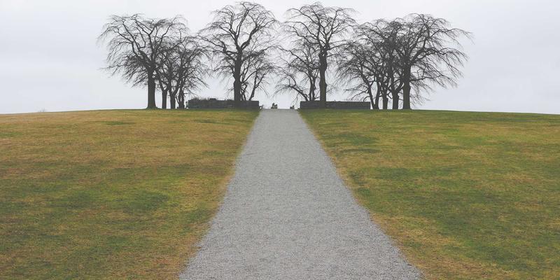智能网络革命：如何利用CNNZNN与AI构建下一代网络性能预测与调优系统